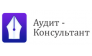 Аудит-Консультант