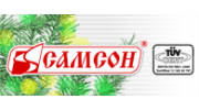 Самсон, г.Самара