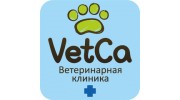 Ветка