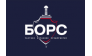 БОРС, Холдинговая группа компаний