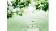 Clean Water (ООО Лес и К)