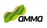 АММА