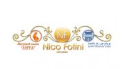 Nicofotini