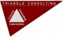 Triangle consulting