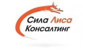 Сила Лиса Консалтинг