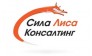 Сила Лиса Консалтинг