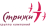 ГК Стрижи