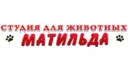Токаренко А.Н.
