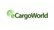 eCargoWorld Russia