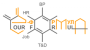 Your Formula