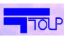 ТОИР, инженерно-экологическая компания