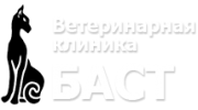 Баст, Ветеринарная клиника