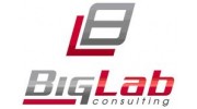 Big Lab Consulting