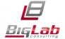 Big Lab Consulting