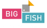 BigFish Digital Recruitment