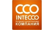 Интернет-консалтинговая компания Intecco