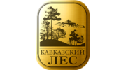 Кавказский лес