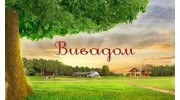Вивадом