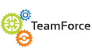 ТИМФОРС