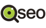 Qseo, Интернет-компания