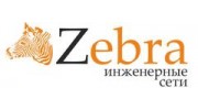 Зебра