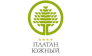 Платан Южный, Отель