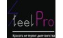 Аношин И.А., ИП SteelPro