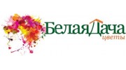 Белая Дача цветы