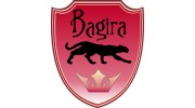 Центр тонирования стекол Bagira
