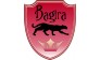 Центр тонирования стекол Bagira