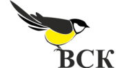 Консалтинговая Компания ВСК