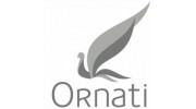 Компания ORNATI