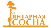 Янтарная сосна