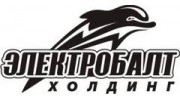 Электробалт, холдинг