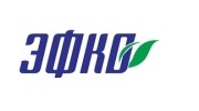 ЭФКО, Северо-Запад