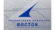 ВОСТОК, Холдинговая компания