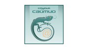 САЙТИО, СТУДИЯ