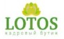 Lotos