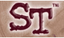 S-TEP