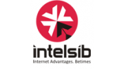 Компания Intelsib