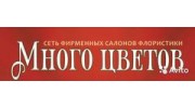 Сеть салонов Много цветов