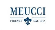 MEUCCI GROUP, Компания