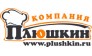 Плюшкин