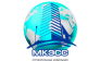 МКЭСС