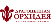 Драгоценная орхидея