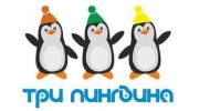 Три пингвина