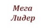 мега - лидер