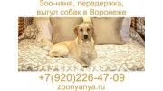 Зооняня