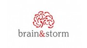 Brain &amp; Storm Inc.