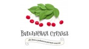 Вишнёвая страна (Шкулева Е. В.)